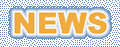 UEG_newsblink.gif (2784 Byte)