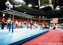 amcup200_arena.jpg (23700 Byte)