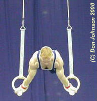 Szilvester Csollany/HUN - rings specialist