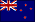 nzl.gif (402 Byte)