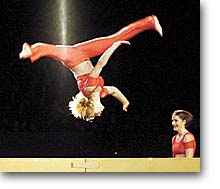 show3.jpg (9185 Byte)