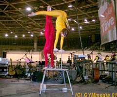 Sports acrobats from the city of Leipzig in the colours of the German Gymnastics Festival 2002